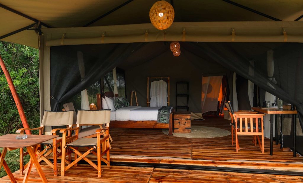 UntamedMigrationCamp(278) (2) (1)