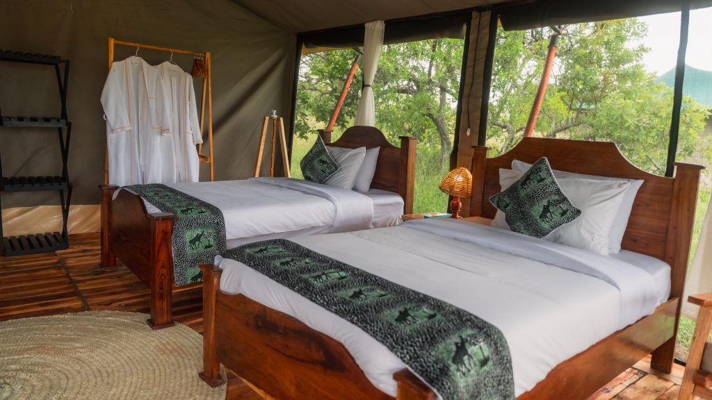 untamed migration camp-18
